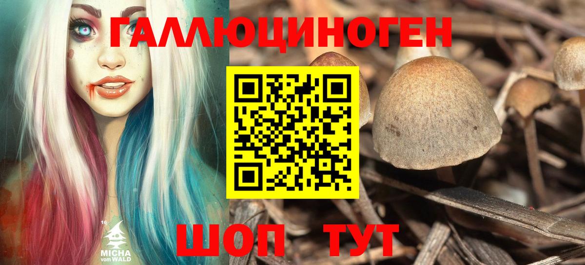 Псилоцибиновые грибы мицелий Владикавказ