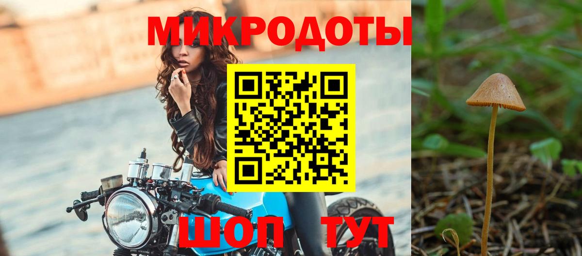 Владикавказ  Галлюциногенные грибы Psilocybine cubensis  Вход с VPN 